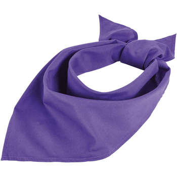 Sols  Schal BANDANA Morado Oscuro-PAÑUELO DE CUELLO COMPLEMENTO günstig online kaufen