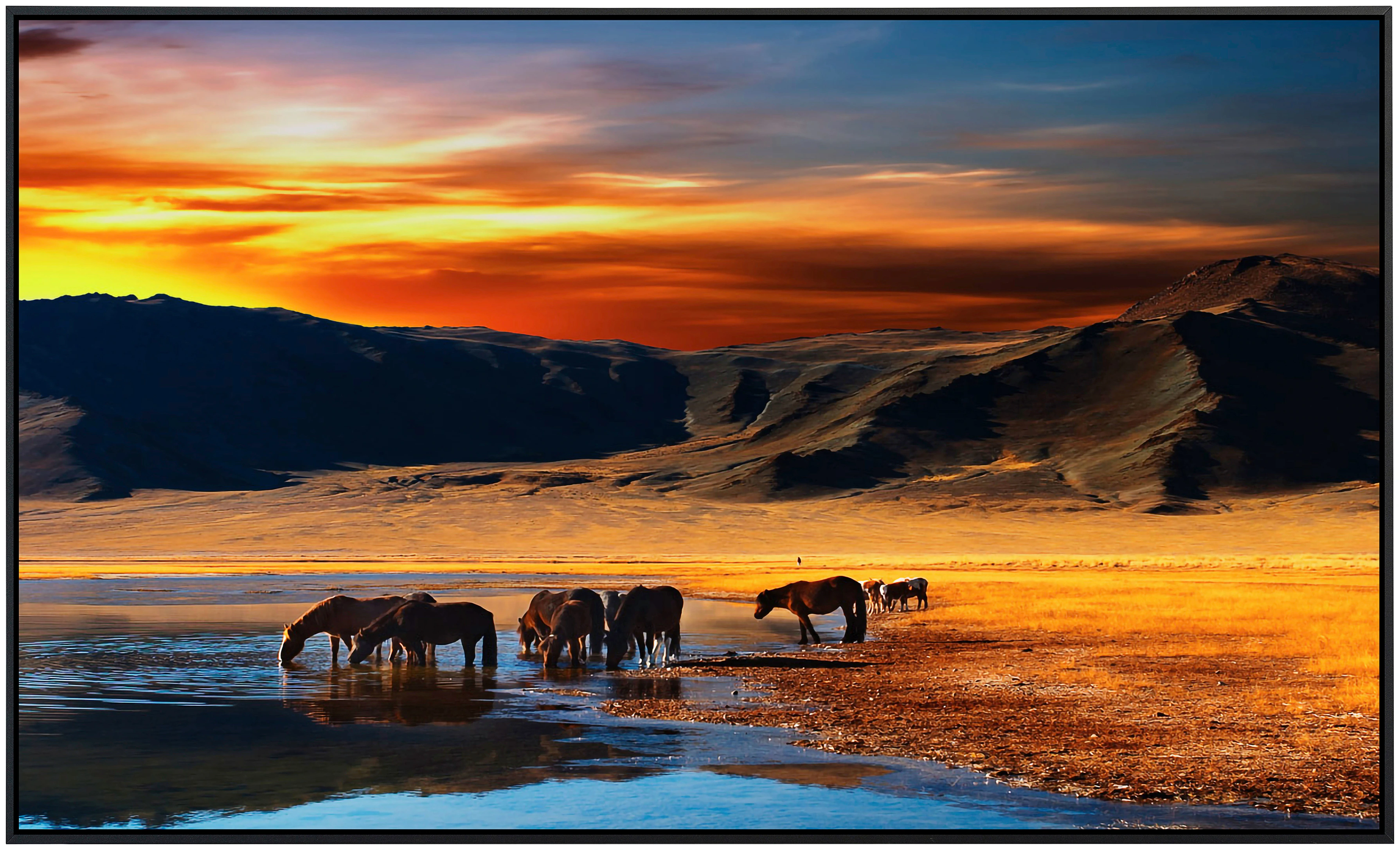 Papermoon Infrarotheizung »Mongolische Pferde«, sehr angenehme Strahlungswä günstig online kaufen
