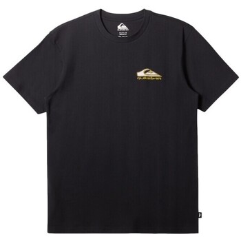 Quiksilver T-Shirt günstig online kaufen