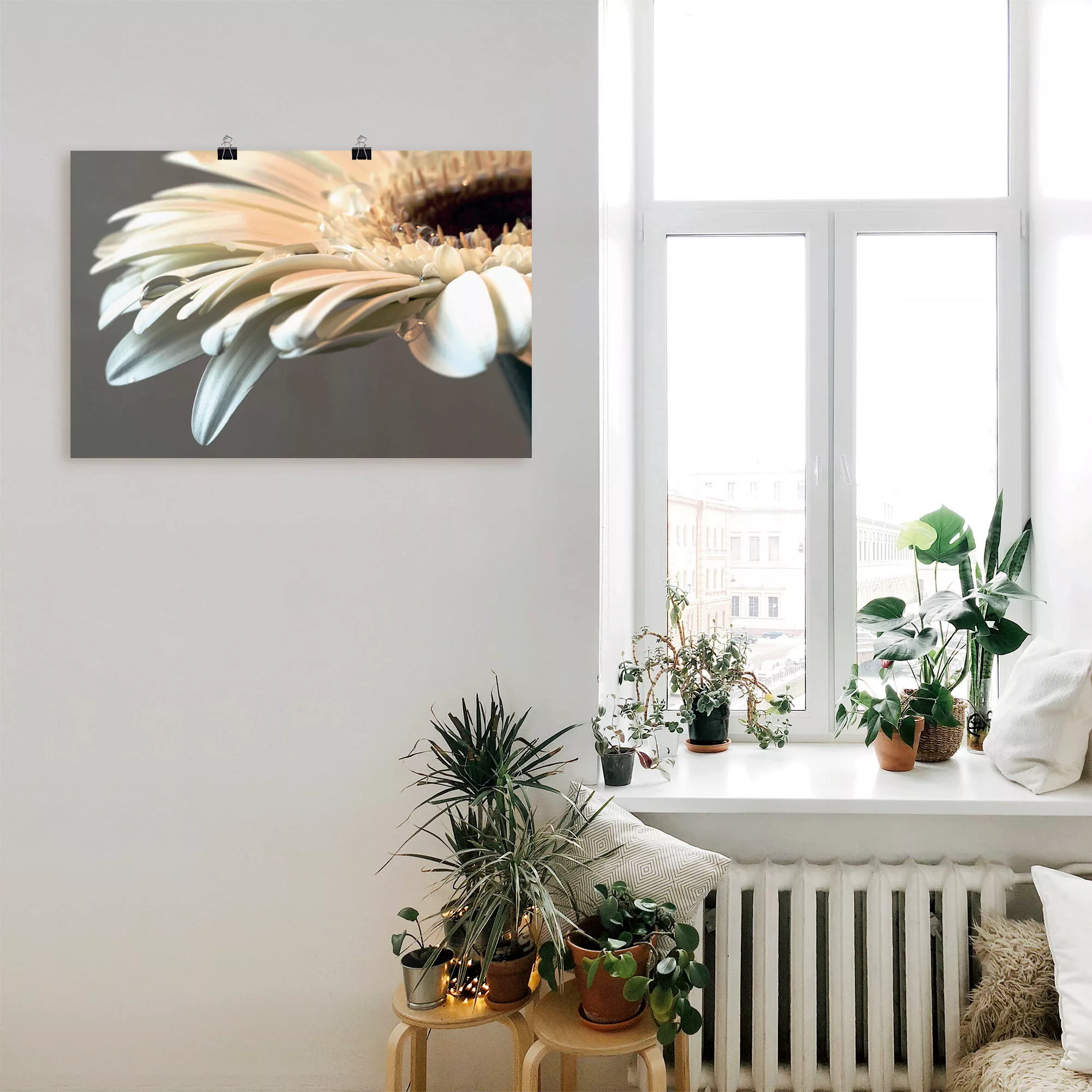 Artland Wandbild "Blüte einer Gerbera", Blumen, (1 St.), als Leinwandbild, günstig online kaufen