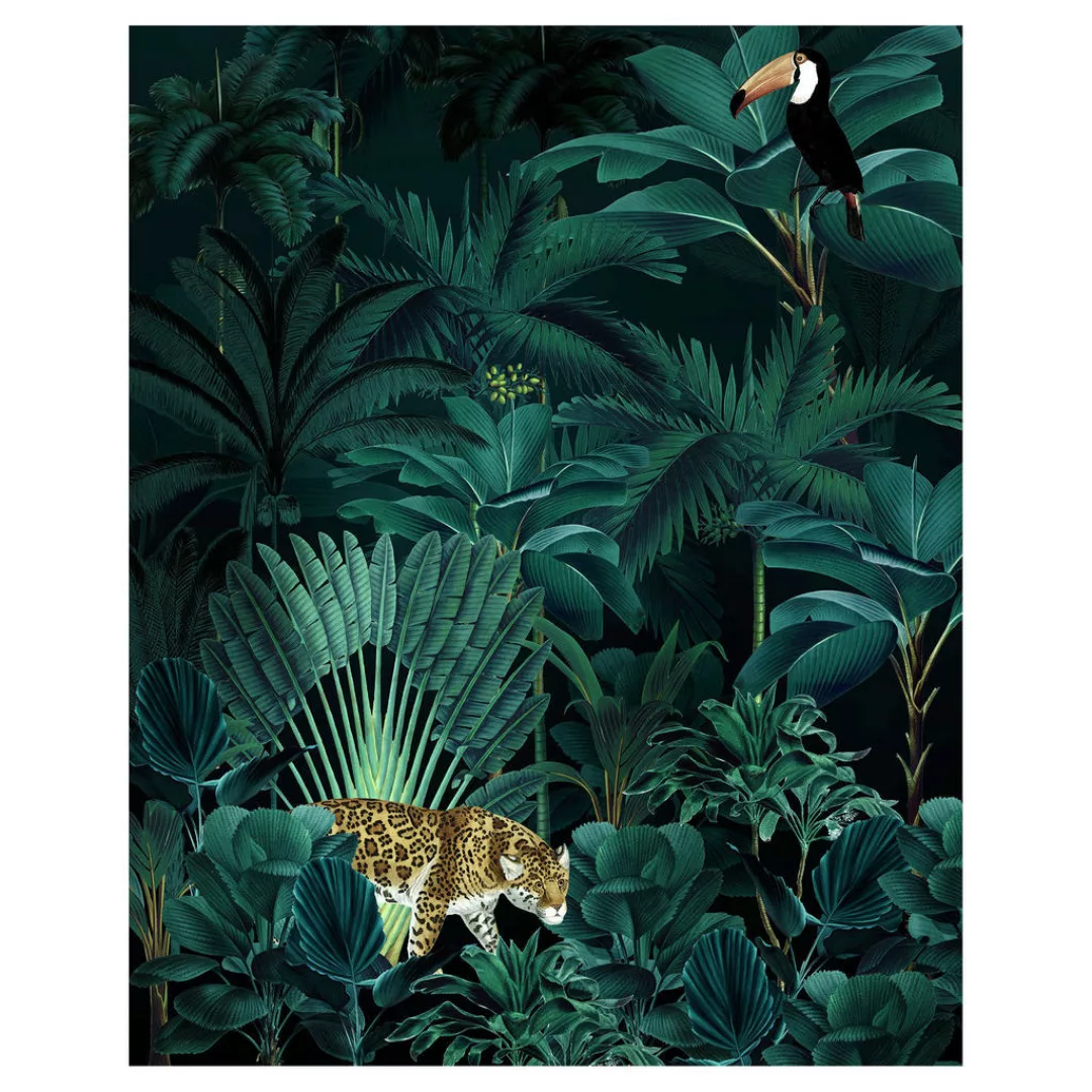 KOMAR Vlies Fototapete - Jungle Night  - Größe 200 x 250 cm mehrfarbig günstig online kaufen