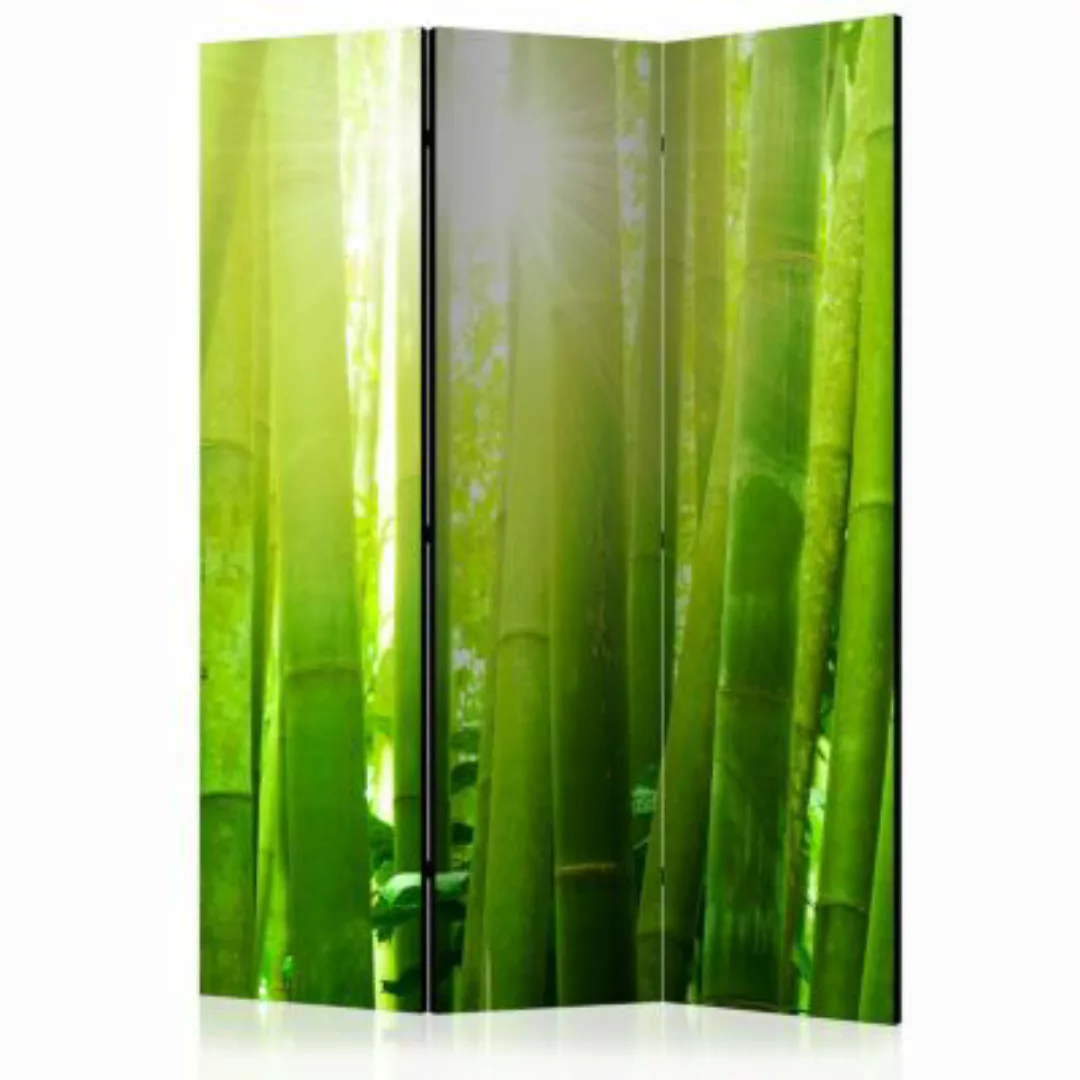 artgeist Paravent Sun and bamboo [Room Dividers] grün Gr. 135 x 172 günstig online kaufen
