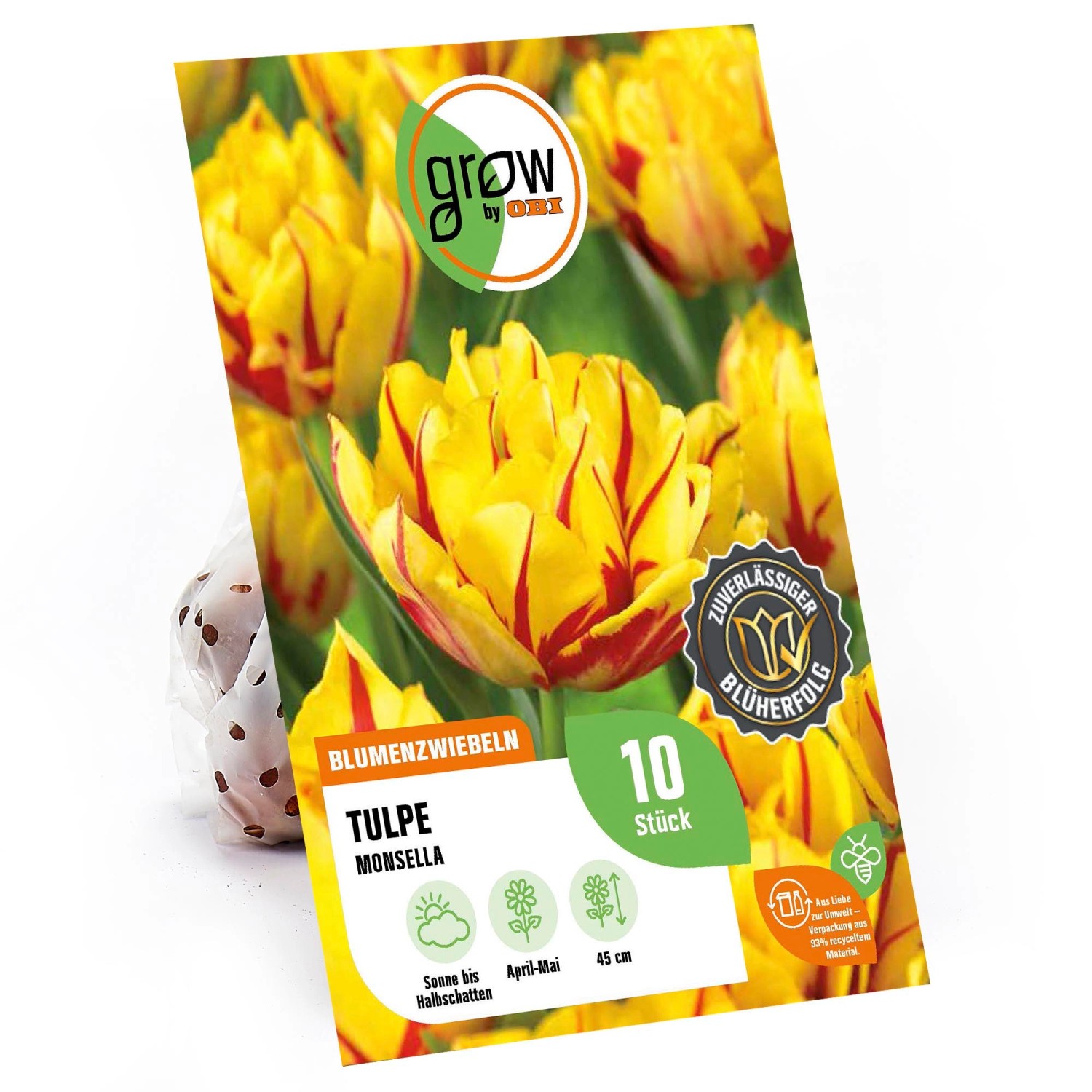 GROW by OBI Pfingstrosen-Tulpe Monsella Gelb-Rot 45 cm Tulipa günstig online kaufen