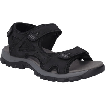 Westland  Sandalen Auxerre 01, schwarz günstig online kaufen