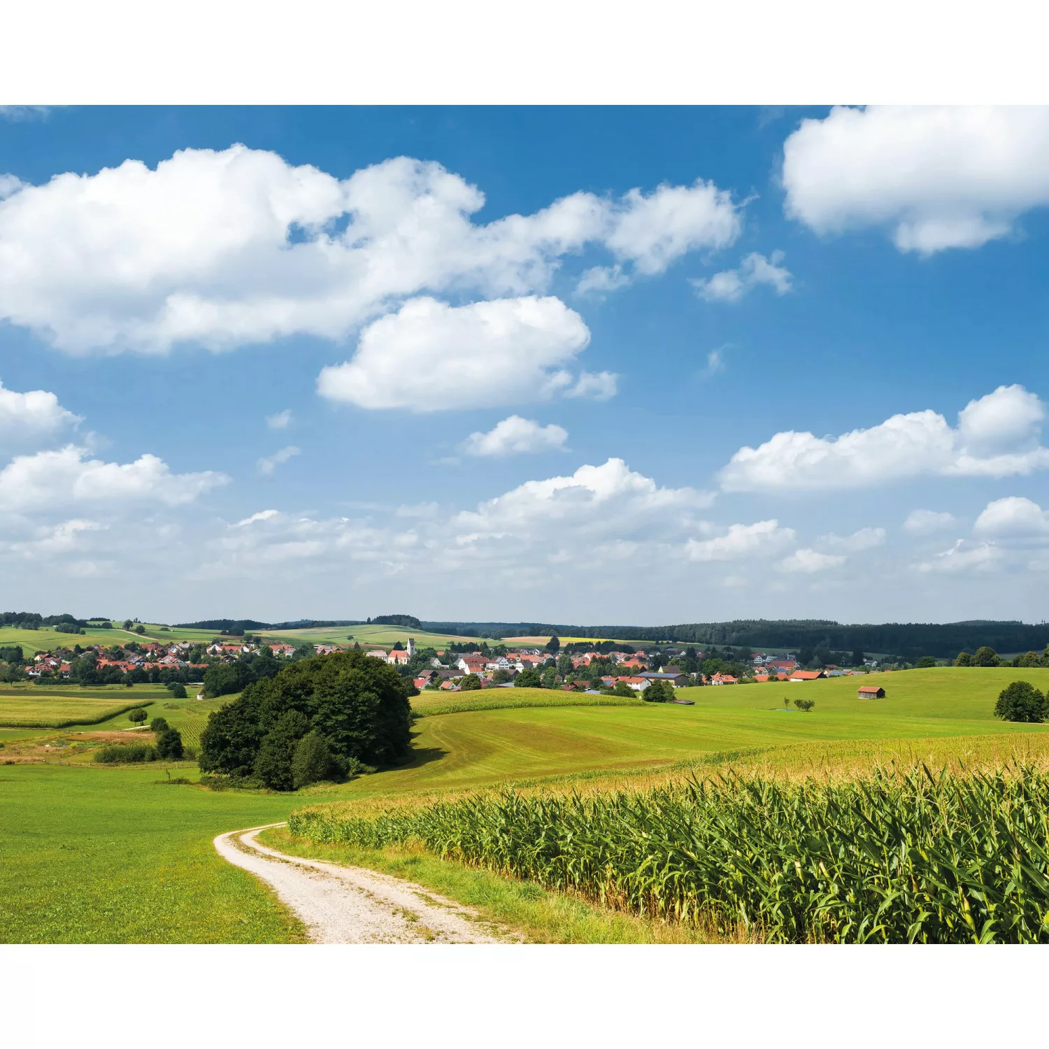 Vlies Fototapete Bayrische Idylle 350x280 cm günstig online kaufen