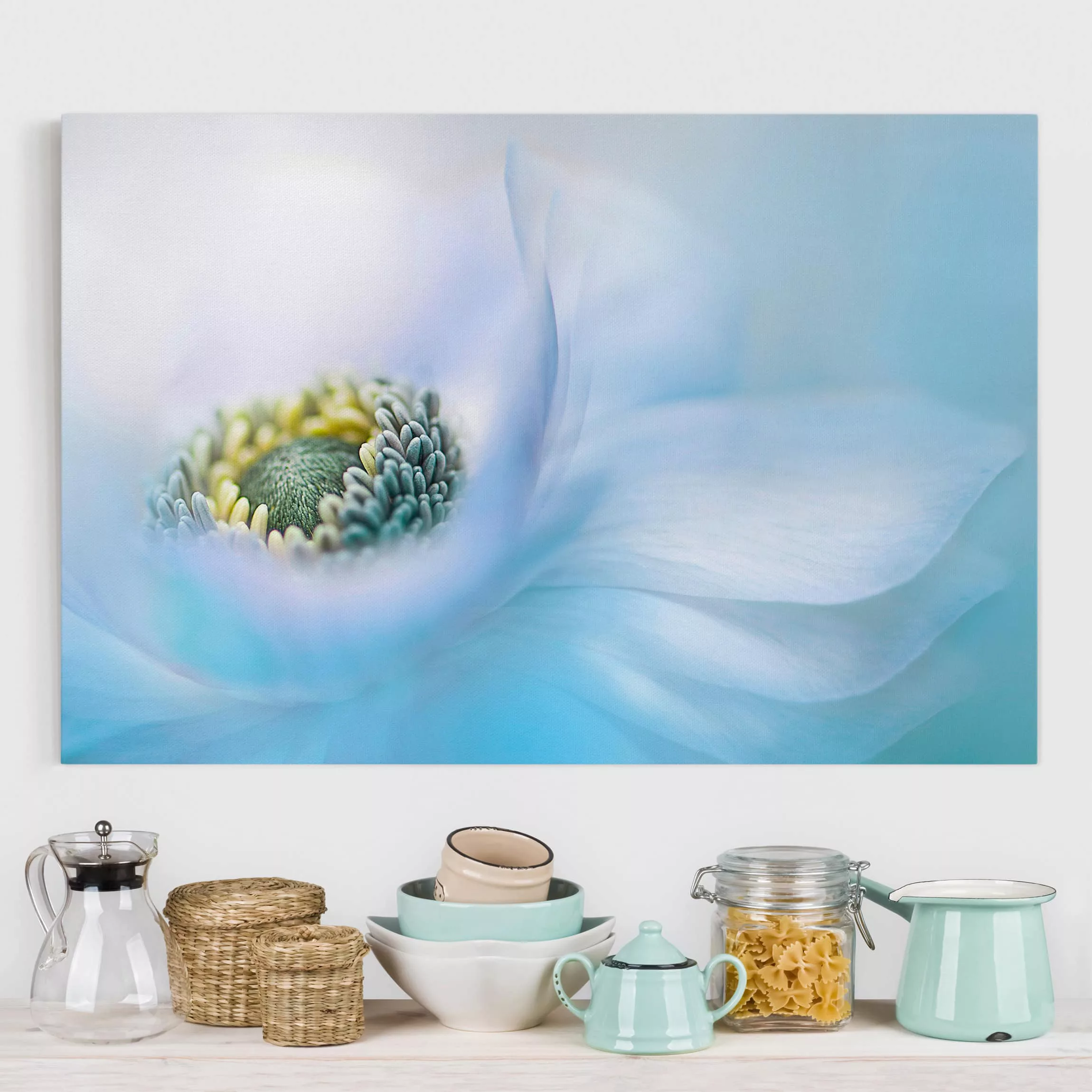 Leinwandbild Blumen - Querformat Anemone auf dem Fluss günstig online kaufen