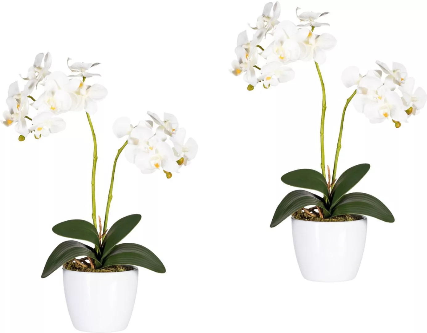 Creativ green Kunstpflanze "Phalaenopsis" günstig online kaufen