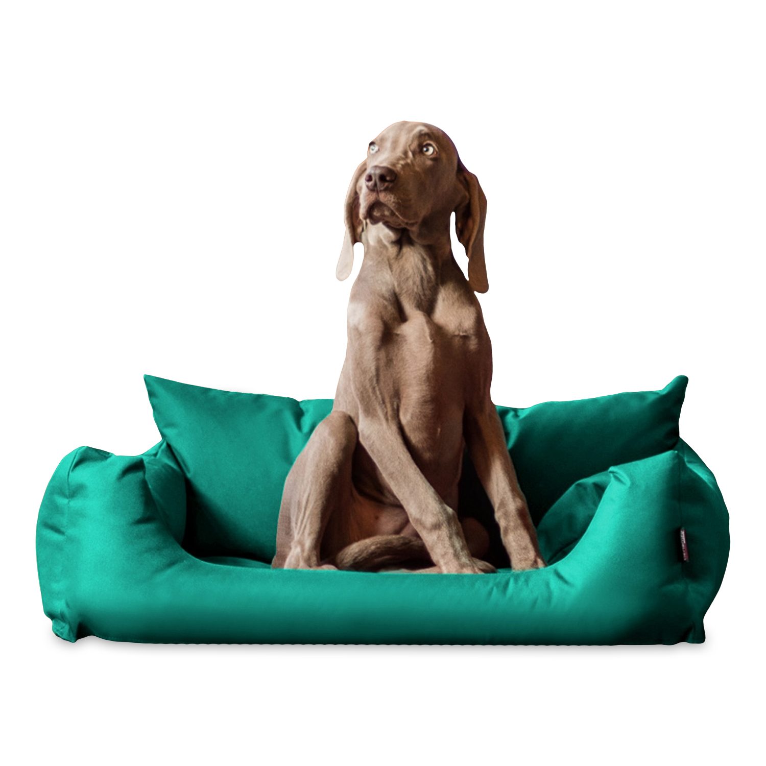 tierlando® Tierbett NEMO Hundebett Hundesofa S günstig online kaufen