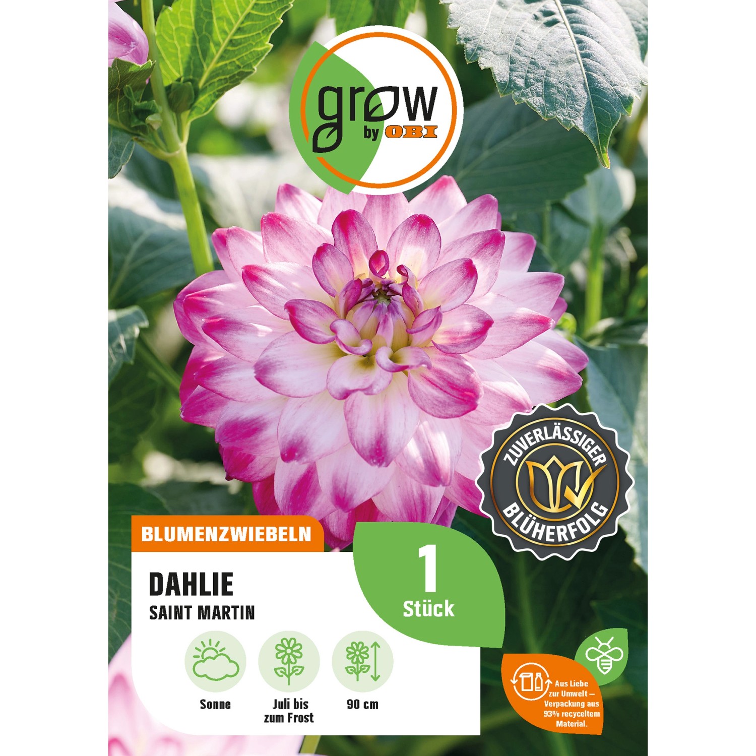 GROW by OBI Dahlie Saint Martin Höhe ca. 90 cm günstig online kaufen