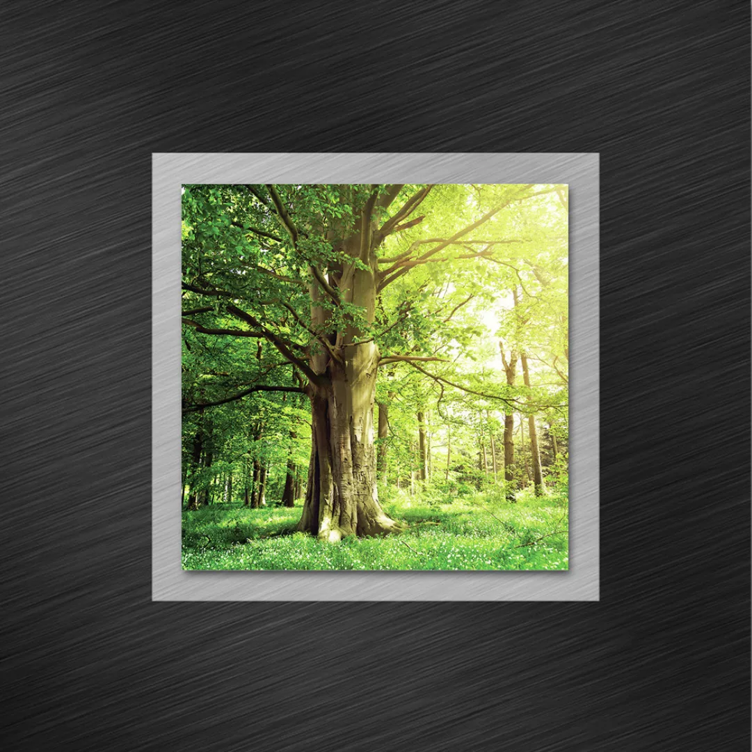 Euroart Premium Glasbild Green Landscape günstig online kaufen