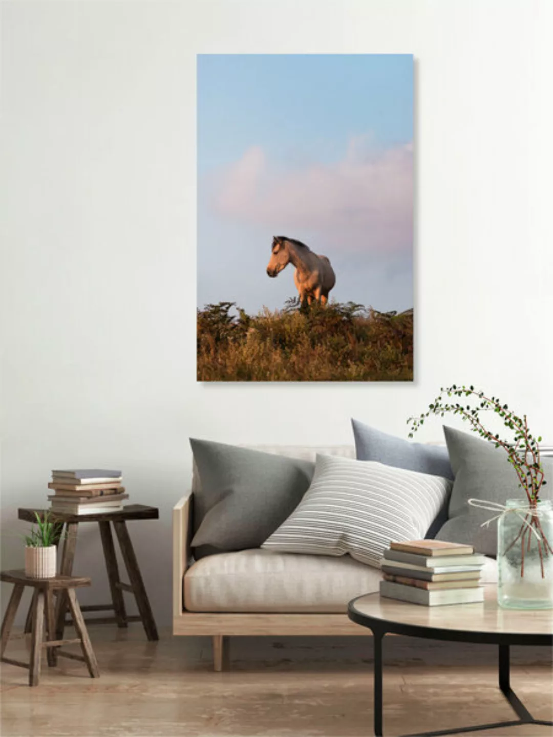 Poster / Leinwandbild - Horse At Sunset günstig online kaufen