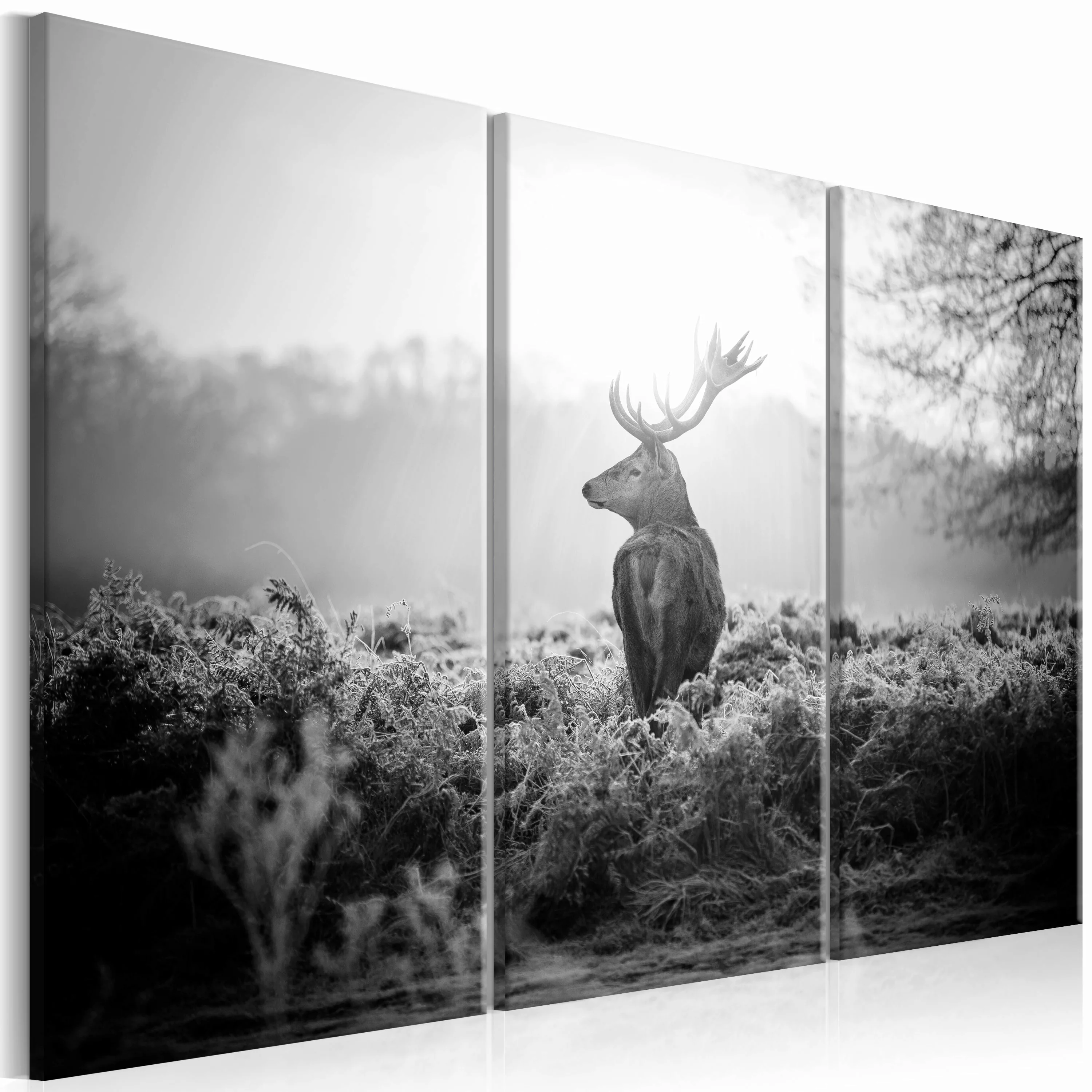 Wandbild - Black And White Deer I günstig online kaufen