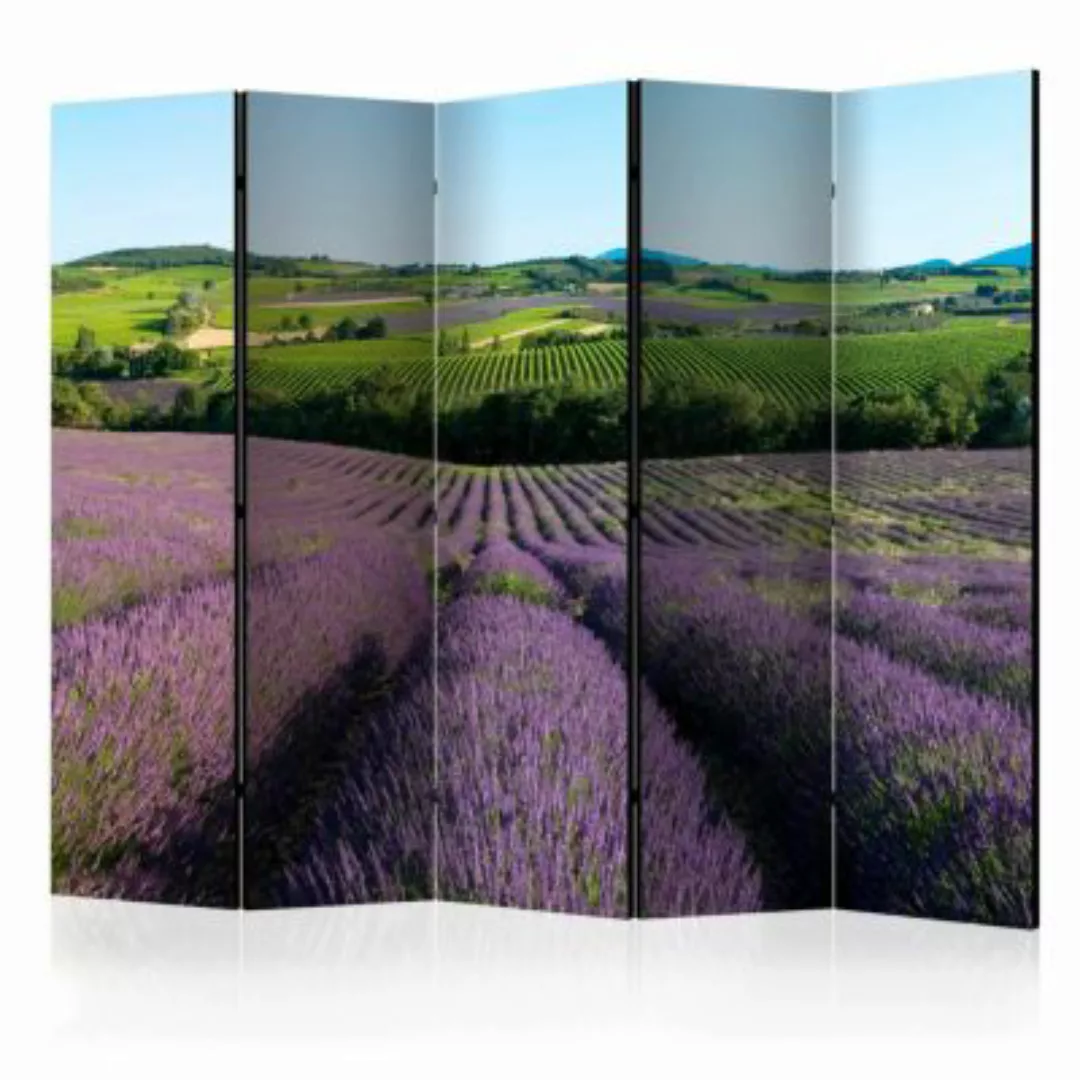 artgeist Paravent Lavender fields II [Room Dividers] mehrfarbig Gr. 225 x 1 günstig online kaufen