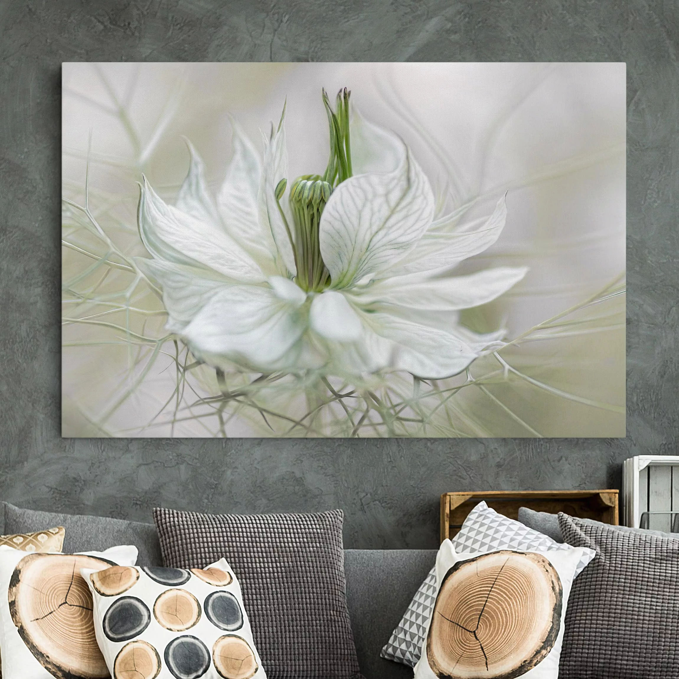 Leinwandbild Blumen - Querformat Weiße Nigella günstig online kaufen