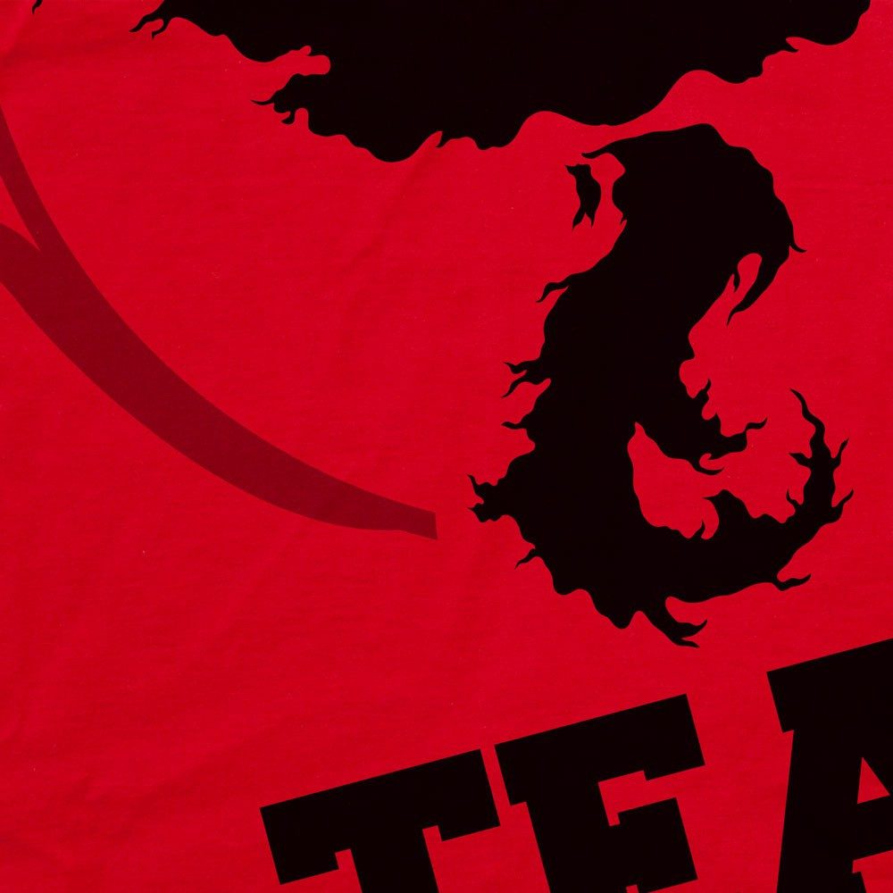 style3 T-Shirt Team Valor pokemon go günstig online kaufen