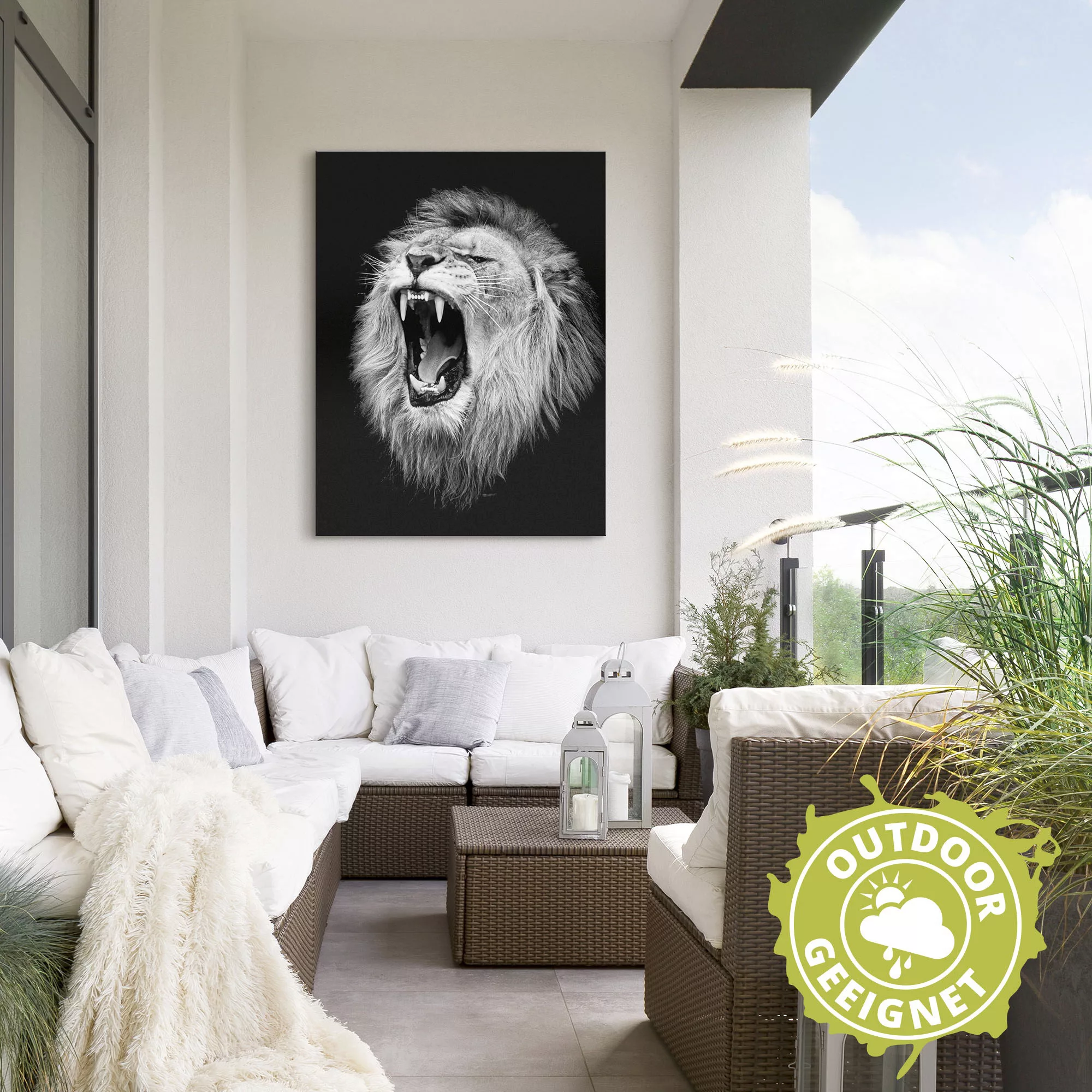 Artland Wandbild »Der Löwe«, Wildtiere, (1 St.), als Alubild, Outdoorbild, günstig online kaufen