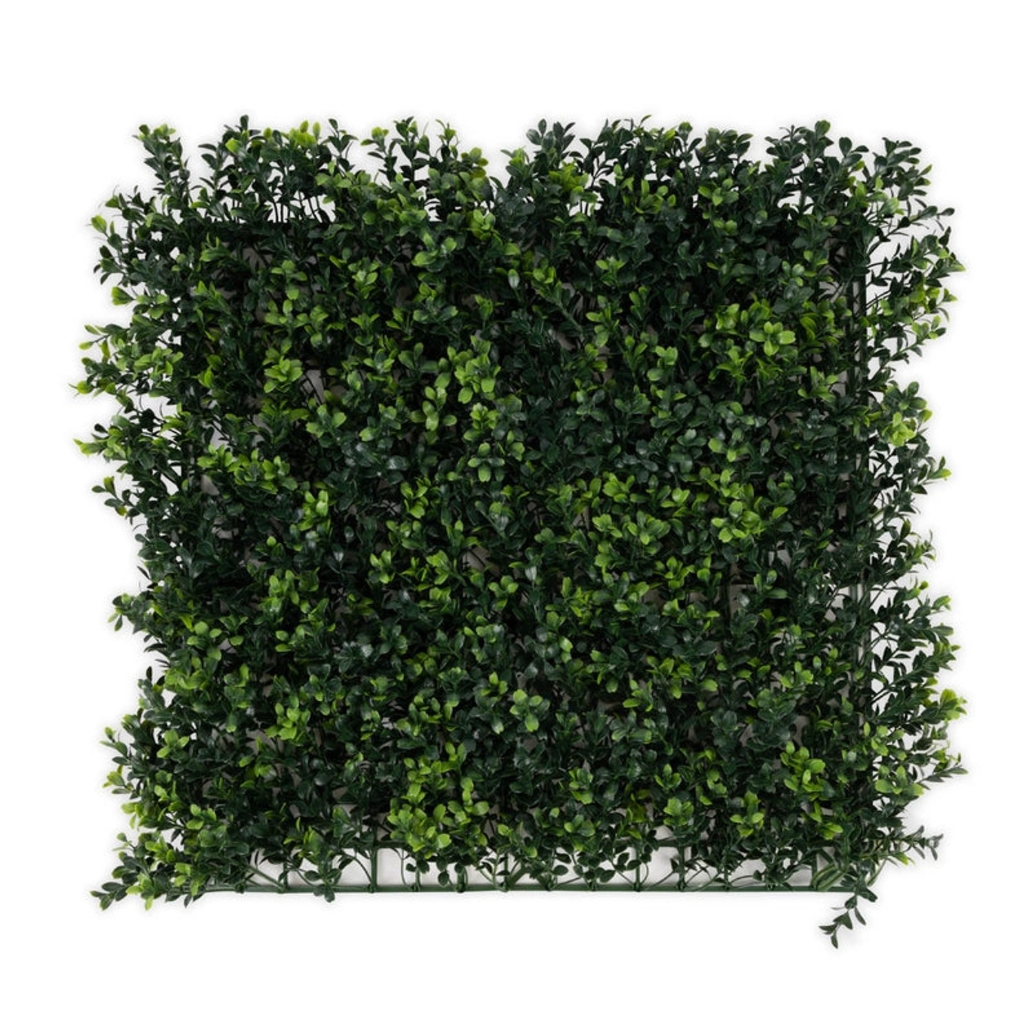 KARAT Pflanzenwand Boxwood Kunstpflanze zur Dekoration 50 x 50 cm günstig online kaufen