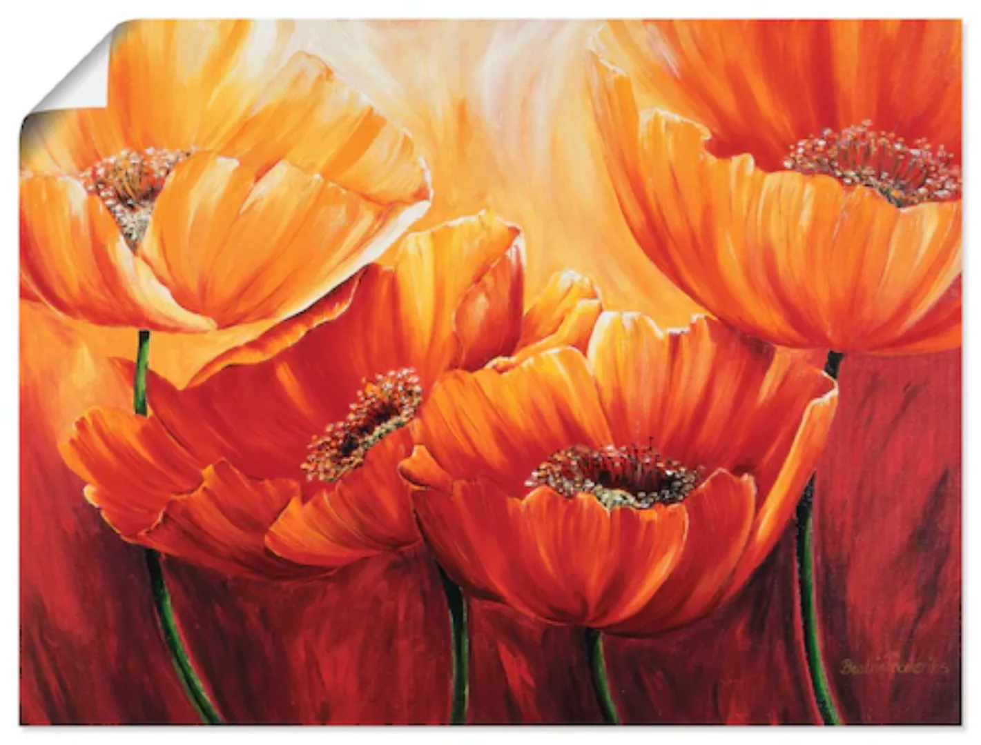 Artland Wandbild "Vier Mohnblumen", Blumen, (1 St.), als Leinwandbild, Post günstig online kaufen