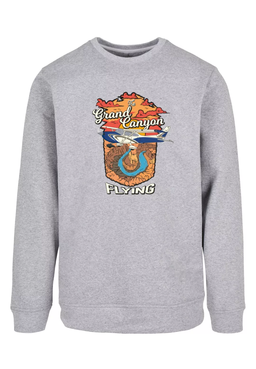 F4NT4STIC Kapuzenpullover "Grand Canyon Flying", Print günstig online kaufen