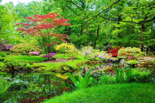 Papermoon Fototapete »GARTEN-BLUMEN BÄUME PFLANZEN STEINE WALD PARK BLÜTEN« günstig online kaufen