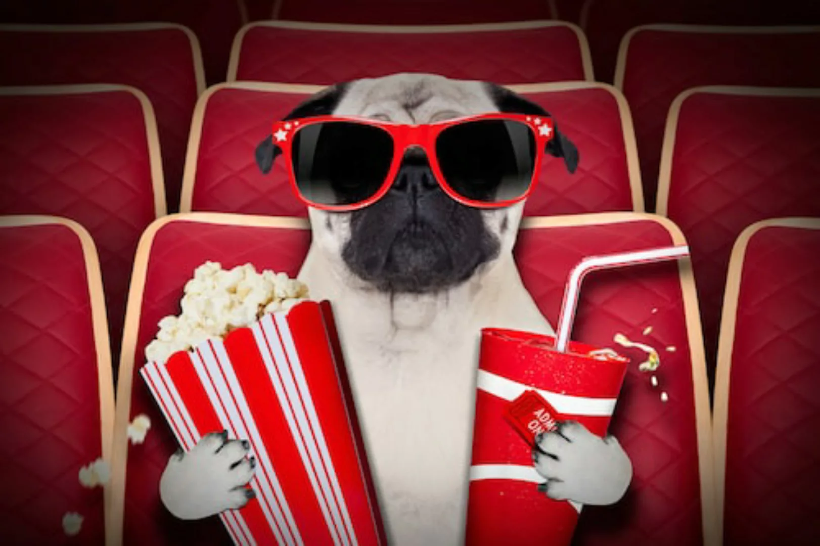 Papermoon Fototapete »Hund im Kino« günstig online kaufen