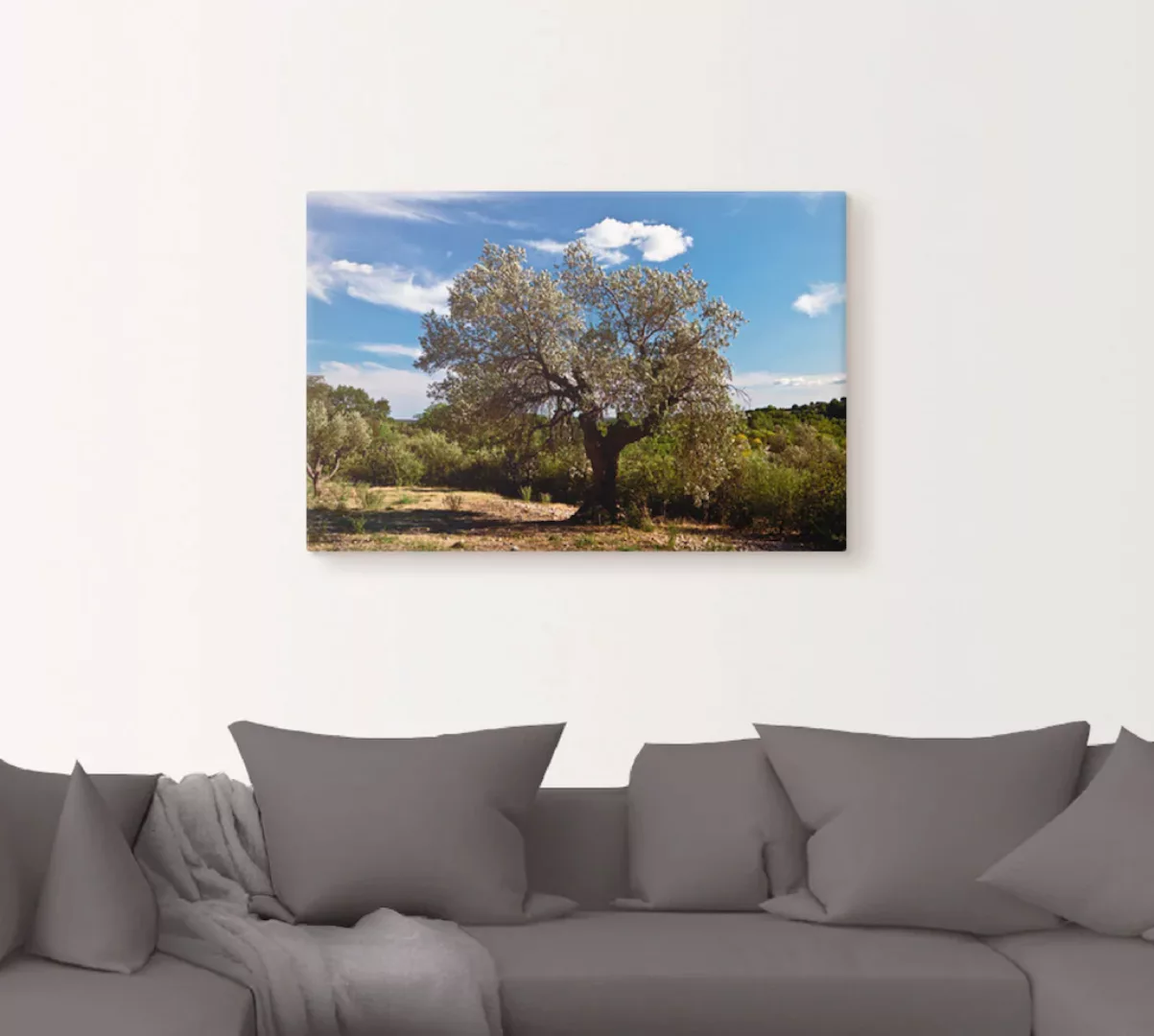 Artland Wandbild »Olivenbaum in Südfrankreich«, Bäume, (1 St.) günstig online kaufen