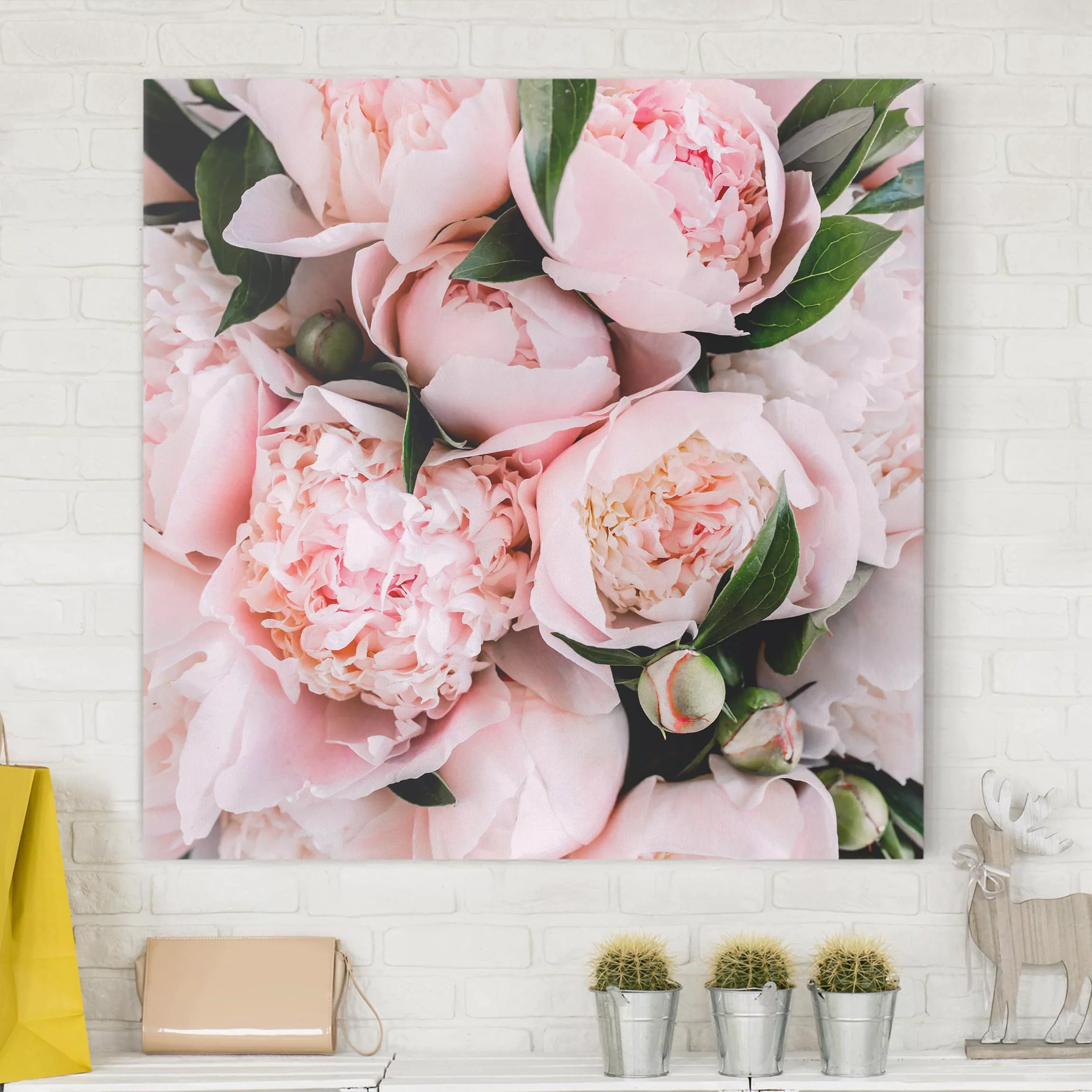 Leinwandbild Blumen - Quadrat Rosa Pfingstrosen mit Blättern günstig online kaufen