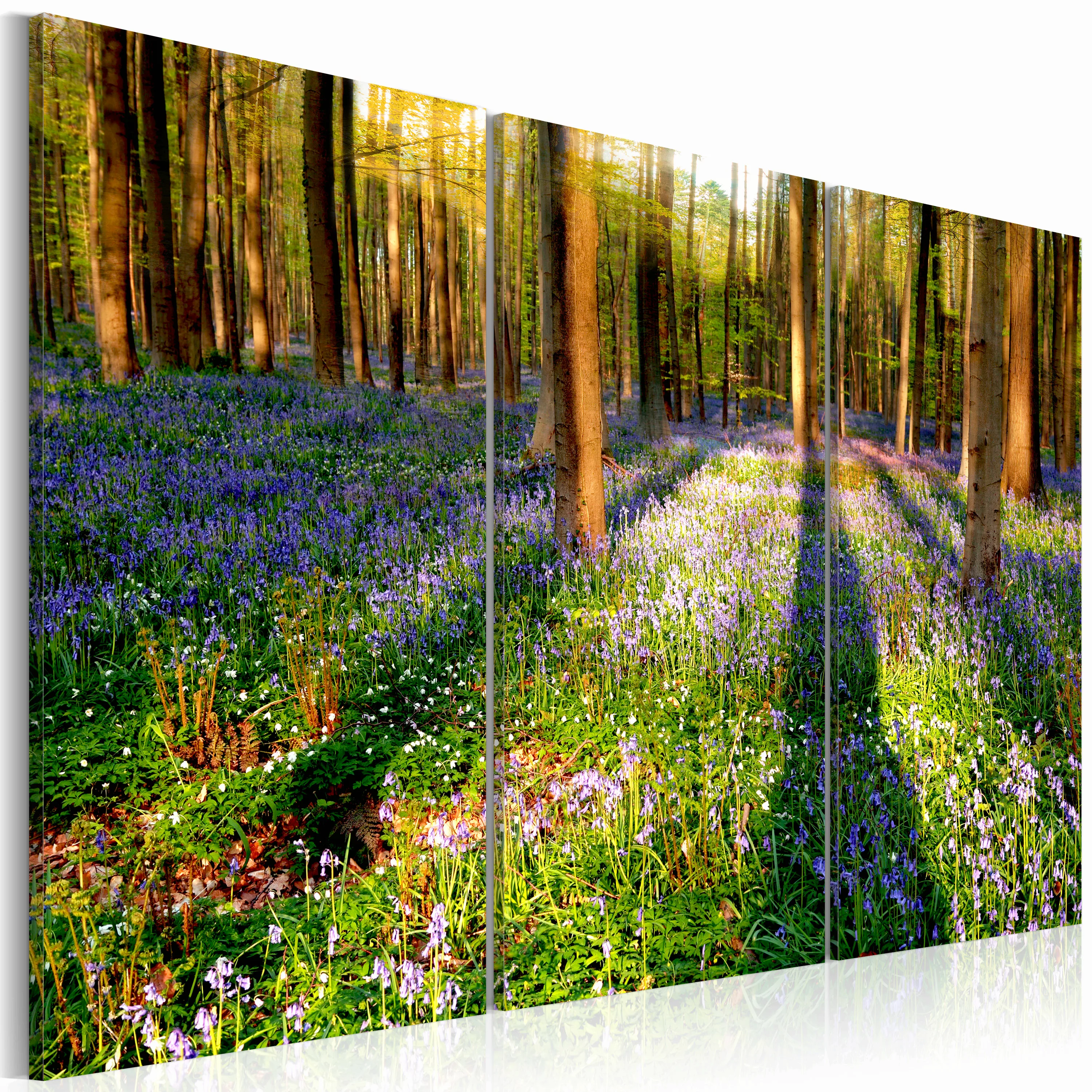 Wandbild - Spring Forest günstig online kaufen