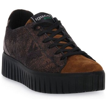 IgI&CO  Sneaker Bronzo Ares günstig online kaufen