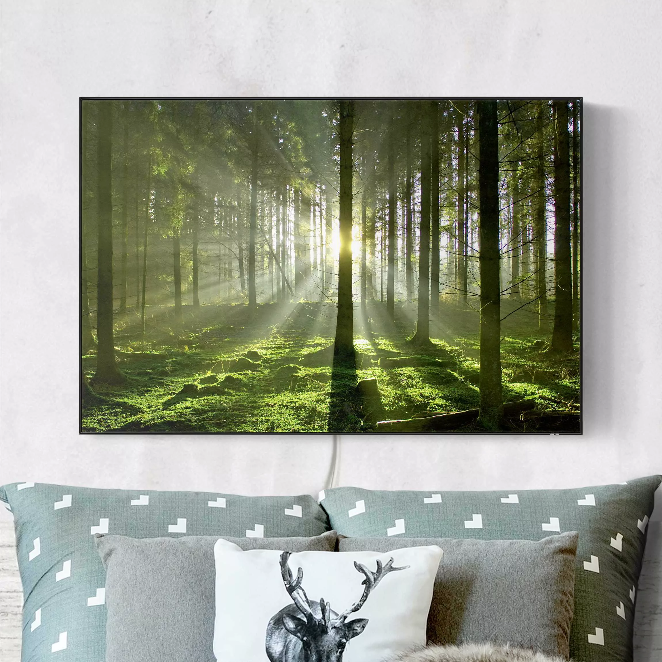 LED-Wechselbild Spring Fairytale günstig online kaufen