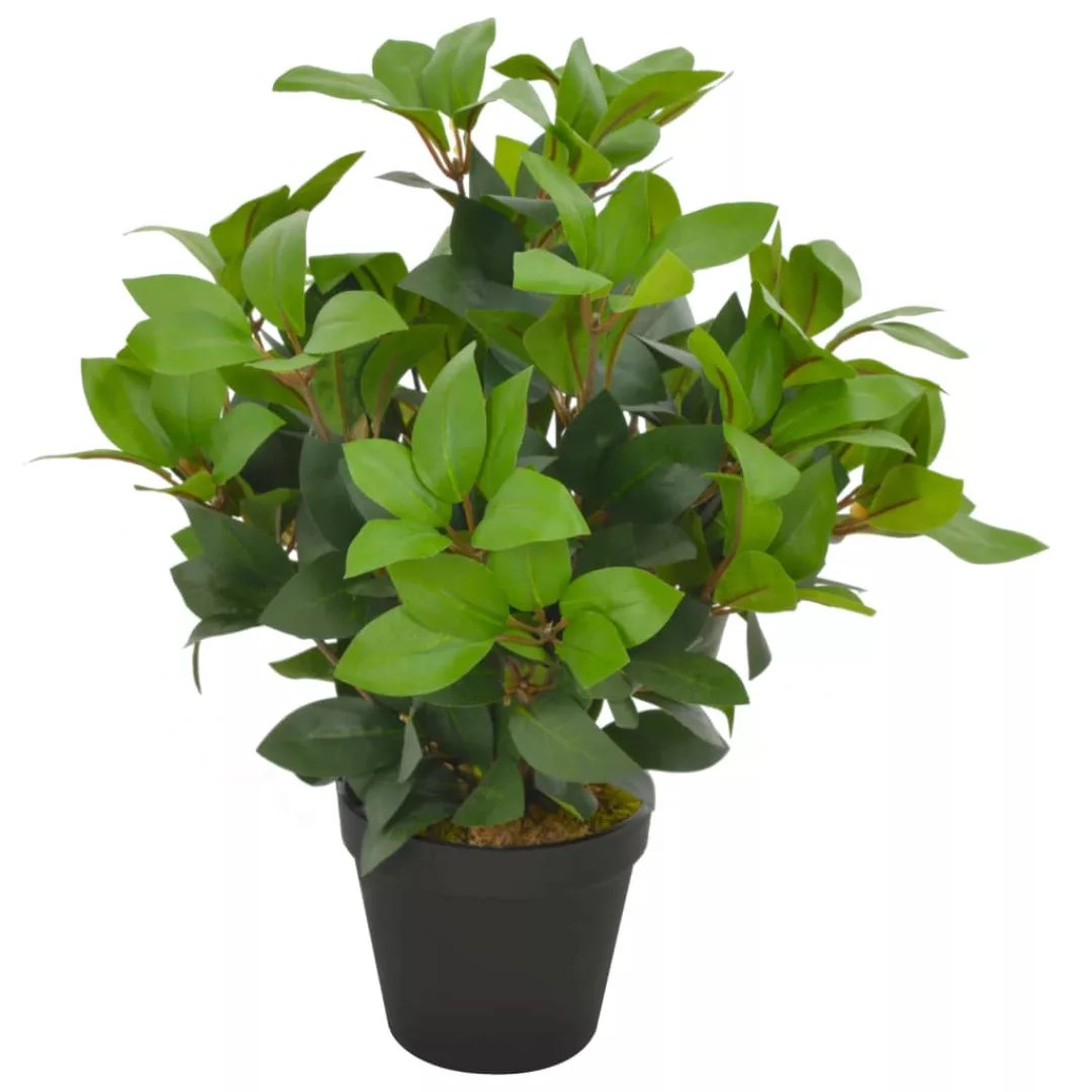 Künstliche Pflanze Lorbeerbaum Mit Topf Grün 40 Cm günstig online kaufen