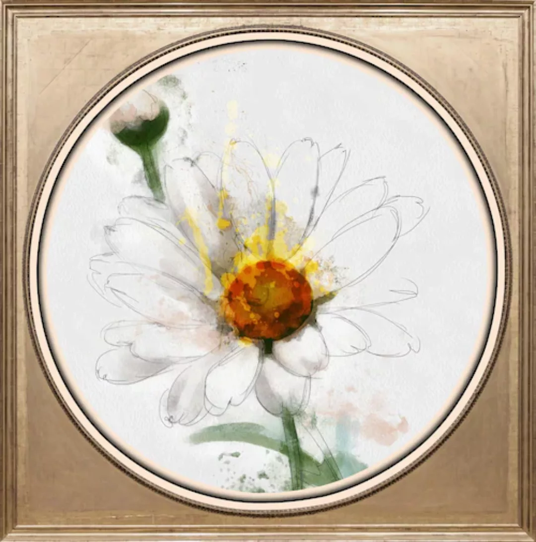 queence Acrylglasbild "Weiße Blüte" günstig online kaufen