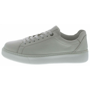 Sioux  Sneaker Shoes für Herren günstig online kaufen