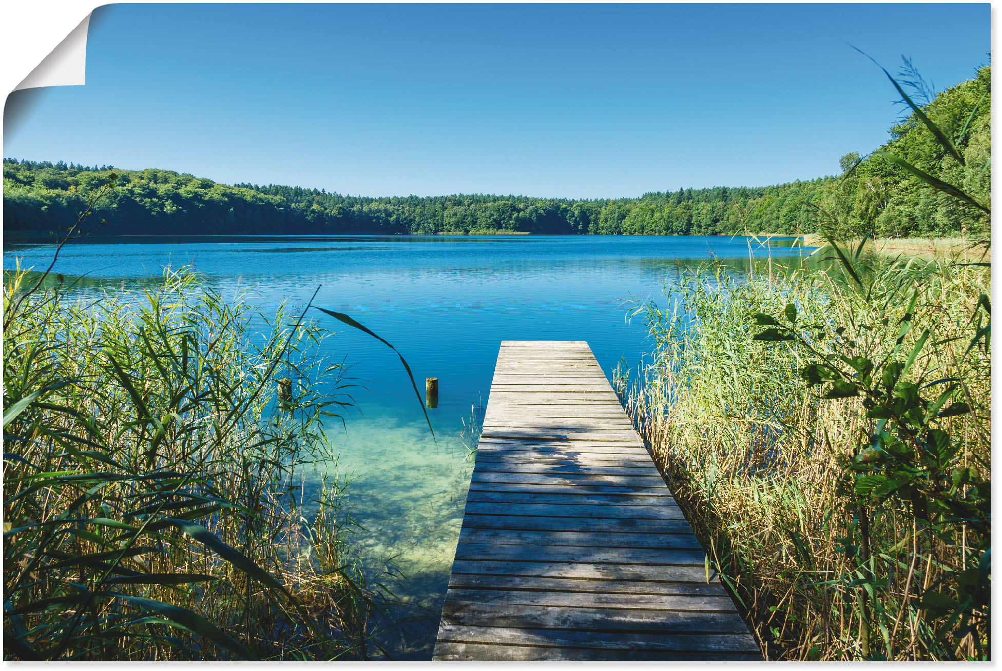 Artland Wandbild "Landschaft am See Steg", Gewässer, (1 St.), als Poster, W günstig online kaufen