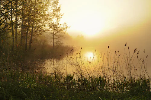 Papermoon Fototapete »Stunning Foggy Landscape« günstig online kaufen