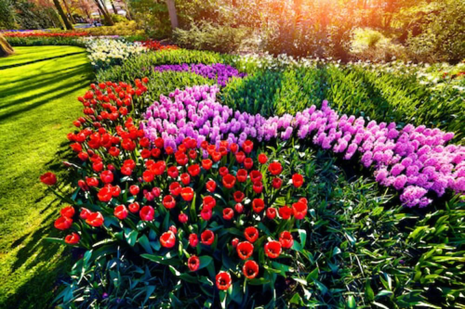 Papermoon Fototapete »Blumen im Garten« günstig online kaufen
