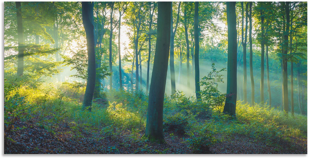 Artland Wandbild "Wald Panorama", Waldbilder, (1 St.), als Alubild, Outdoor günstig online kaufen