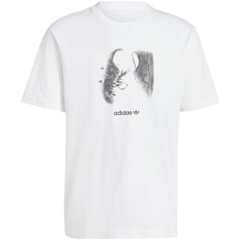 adidas  T-Shirt IY3430 günstig online kaufen