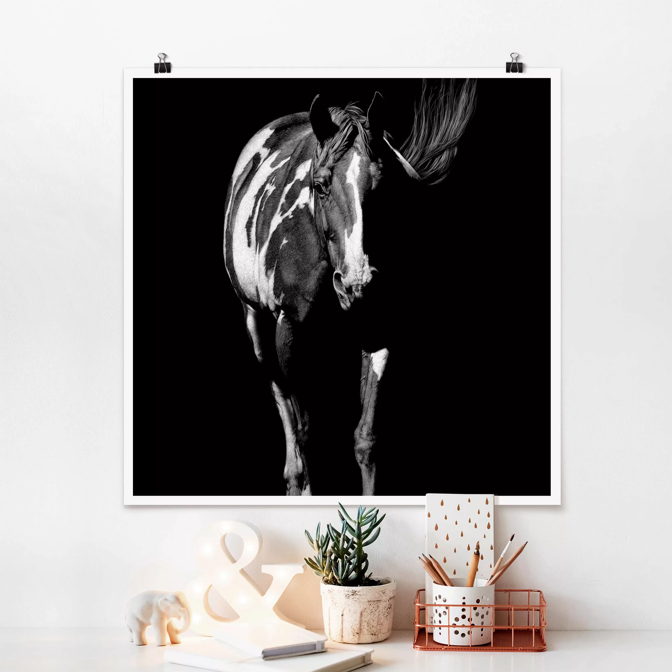 Poster Tiere - Quadrat Pferd vor Schwarz günstig online kaufen