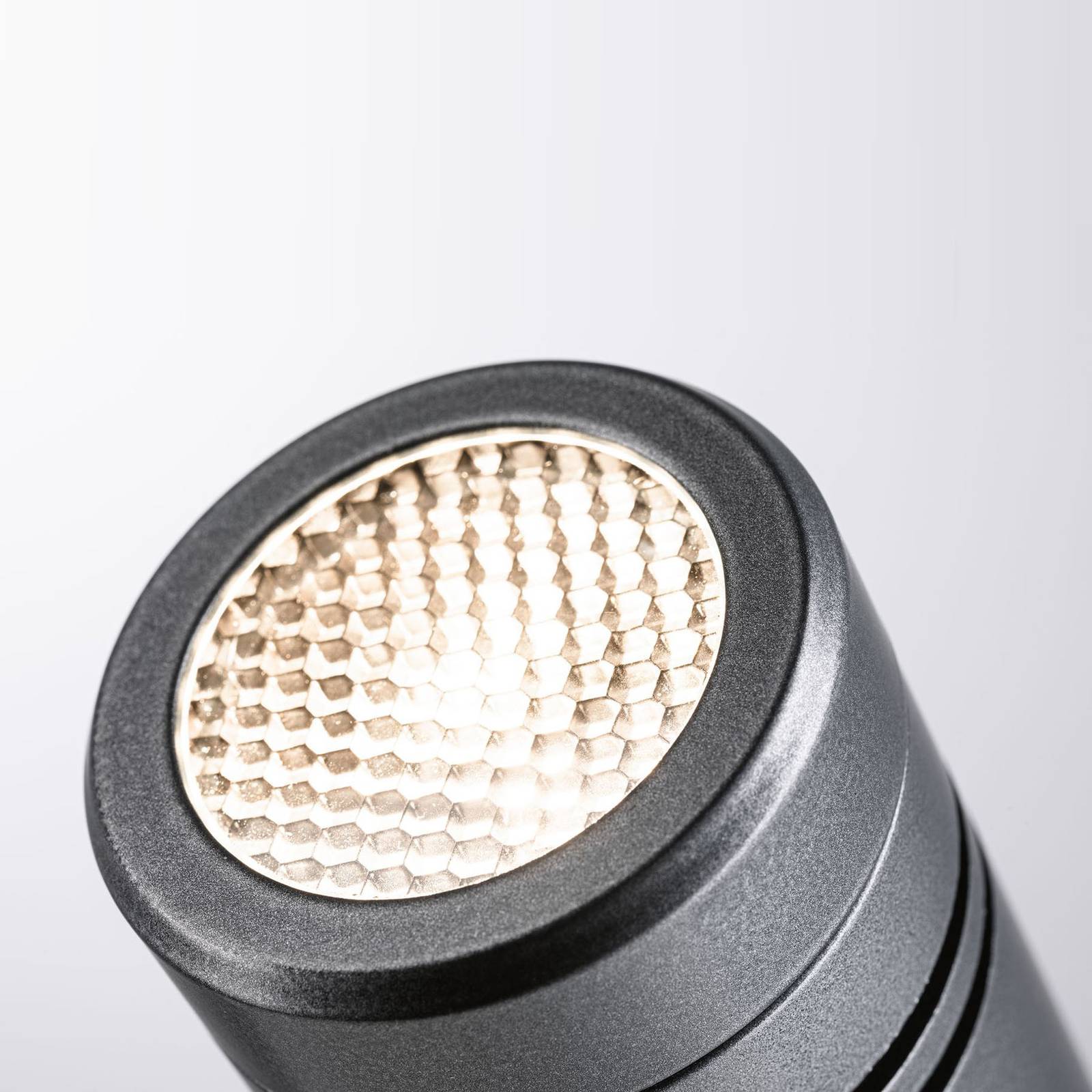 Paulmann Radon LED-Erdspießleuchte 230V, IP65 günstig online kaufen