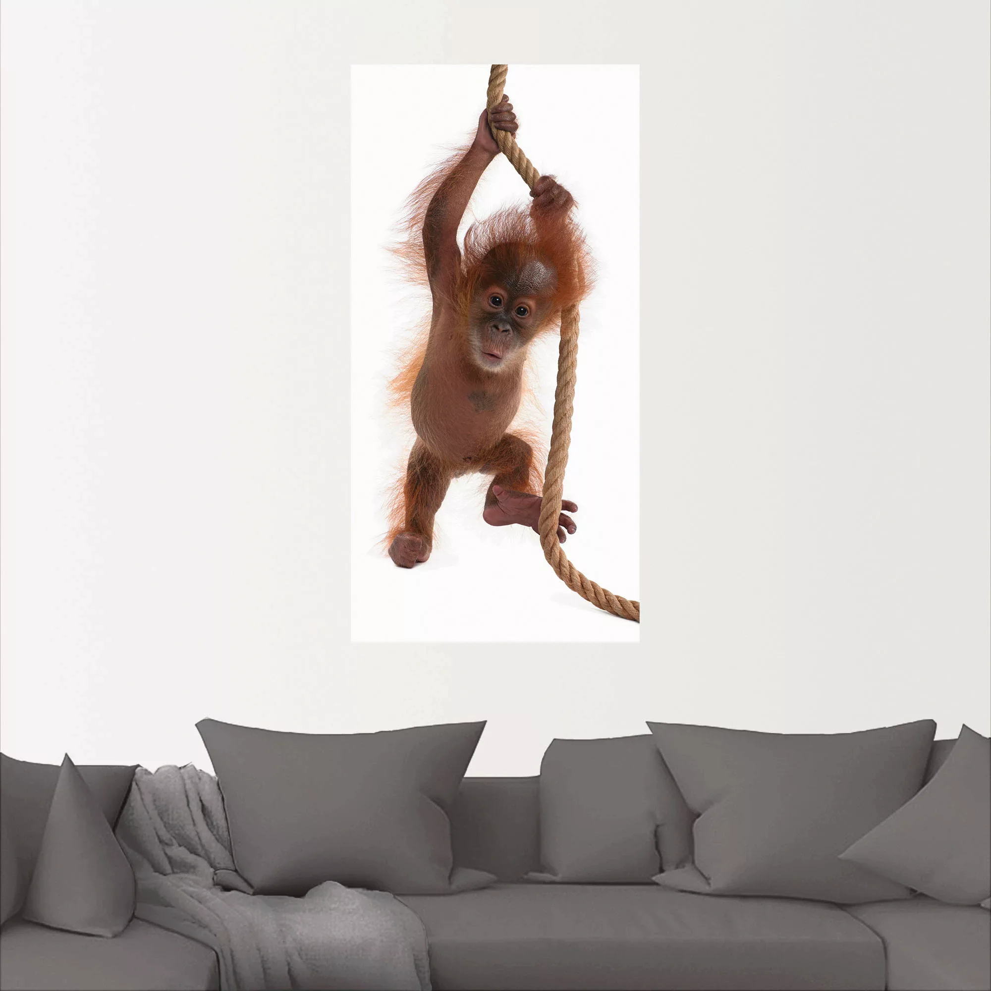 Artland Wandbild "Baby Orang Utan hängt am Seil I", Wildtiere, (1 St.), als günstig online kaufen