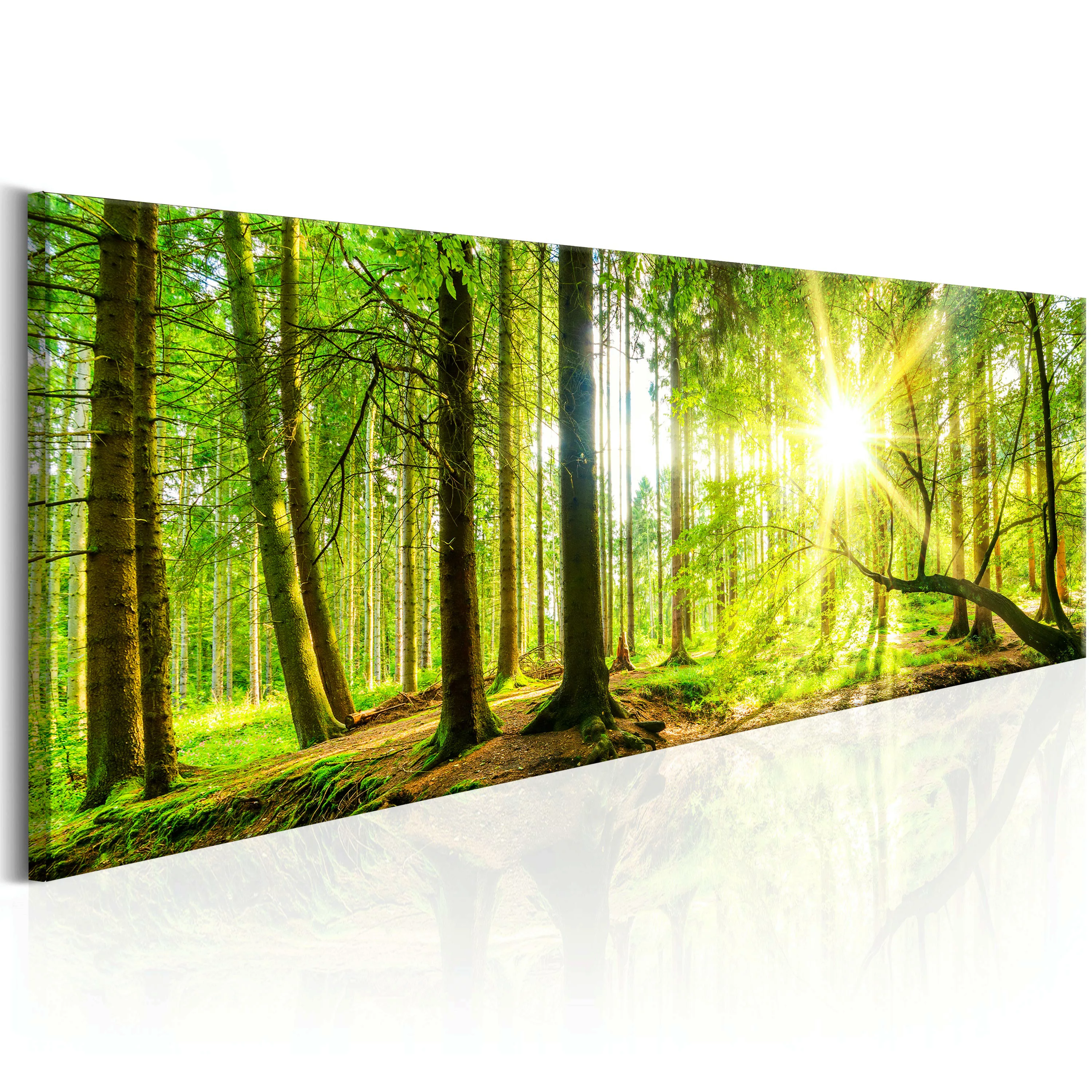 Wandbild - Majestic Trees günstig online kaufen