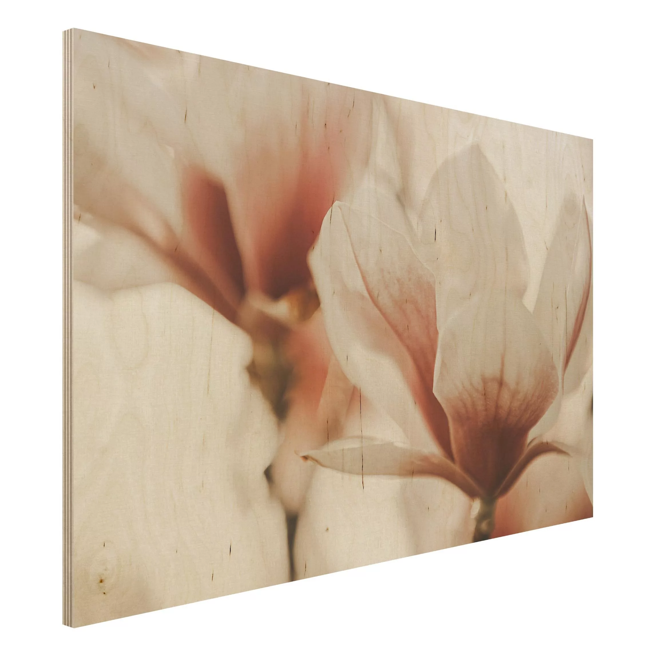 Holzbild Zarte Magnolienblüten im Lichtspiel günstig online kaufen