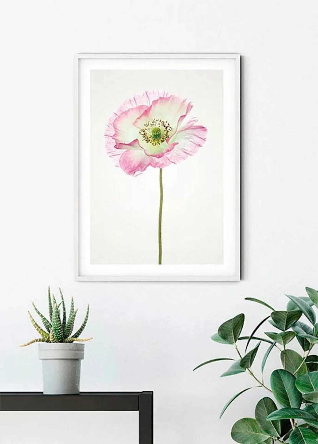 Komar Poster "Poppy", Blumen, (1 St.) günstig online kaufen