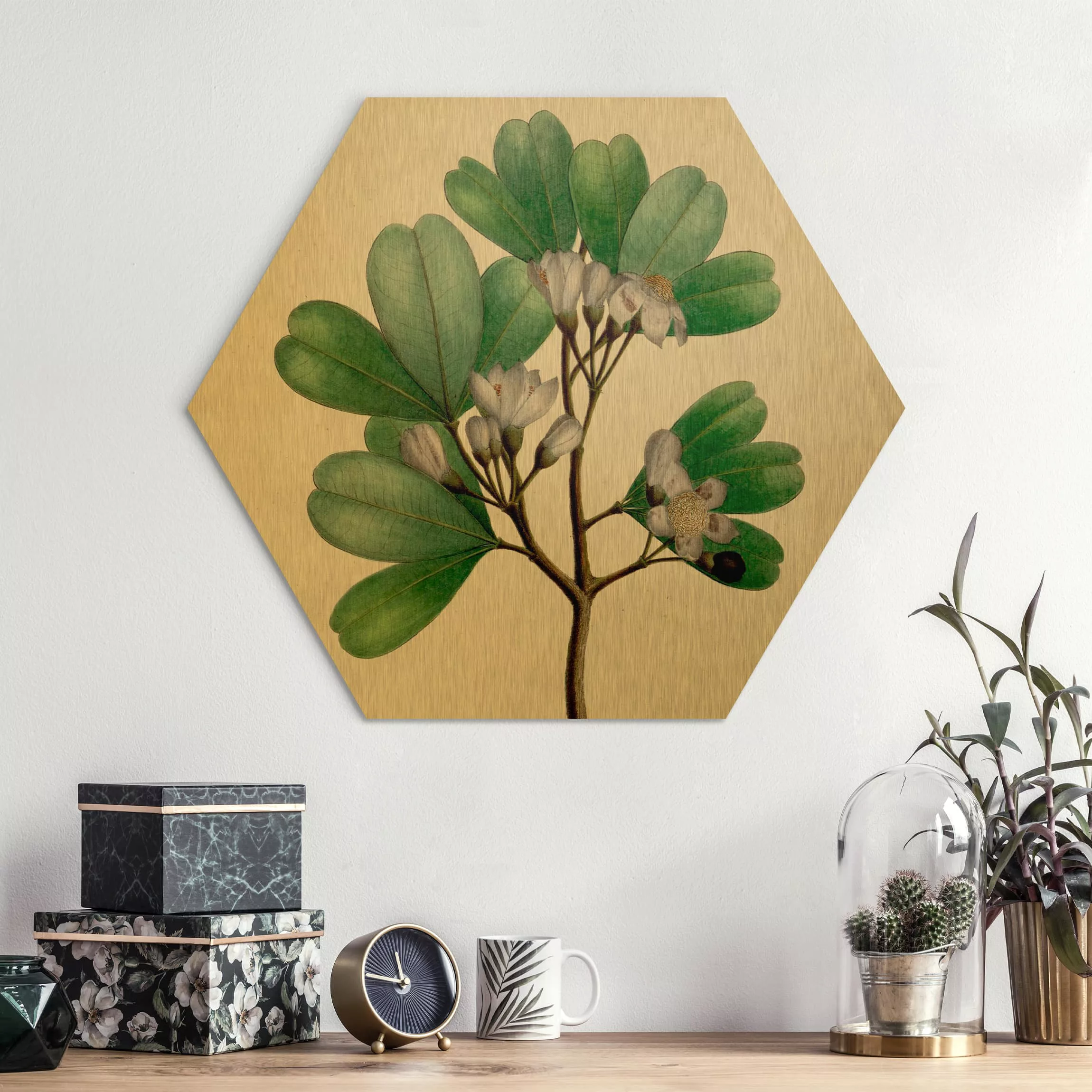 Hexagon-Alu-Dibond Bild Blumen Laubbaum Schautafel III günstig online kaufen