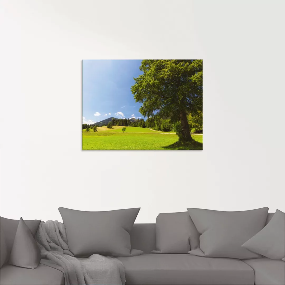 Artland Glasbild »Bayrische Landschaft«, Wiesen & Bäume, (1 St.) günstig online kaufen