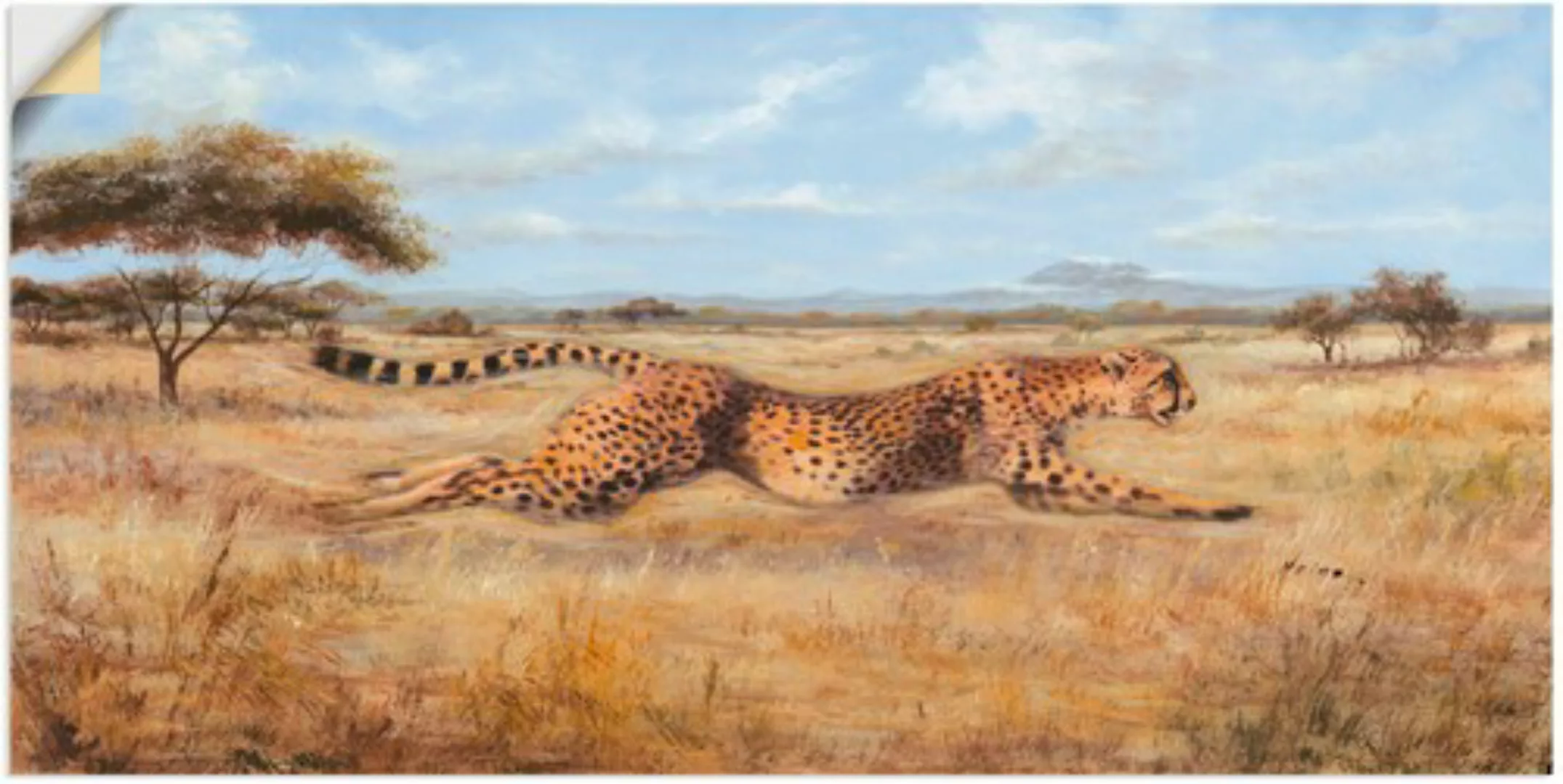 Artland Wandfolie "Laufender Gepard", Wildtiere, (1 St.) günstig online kaufen