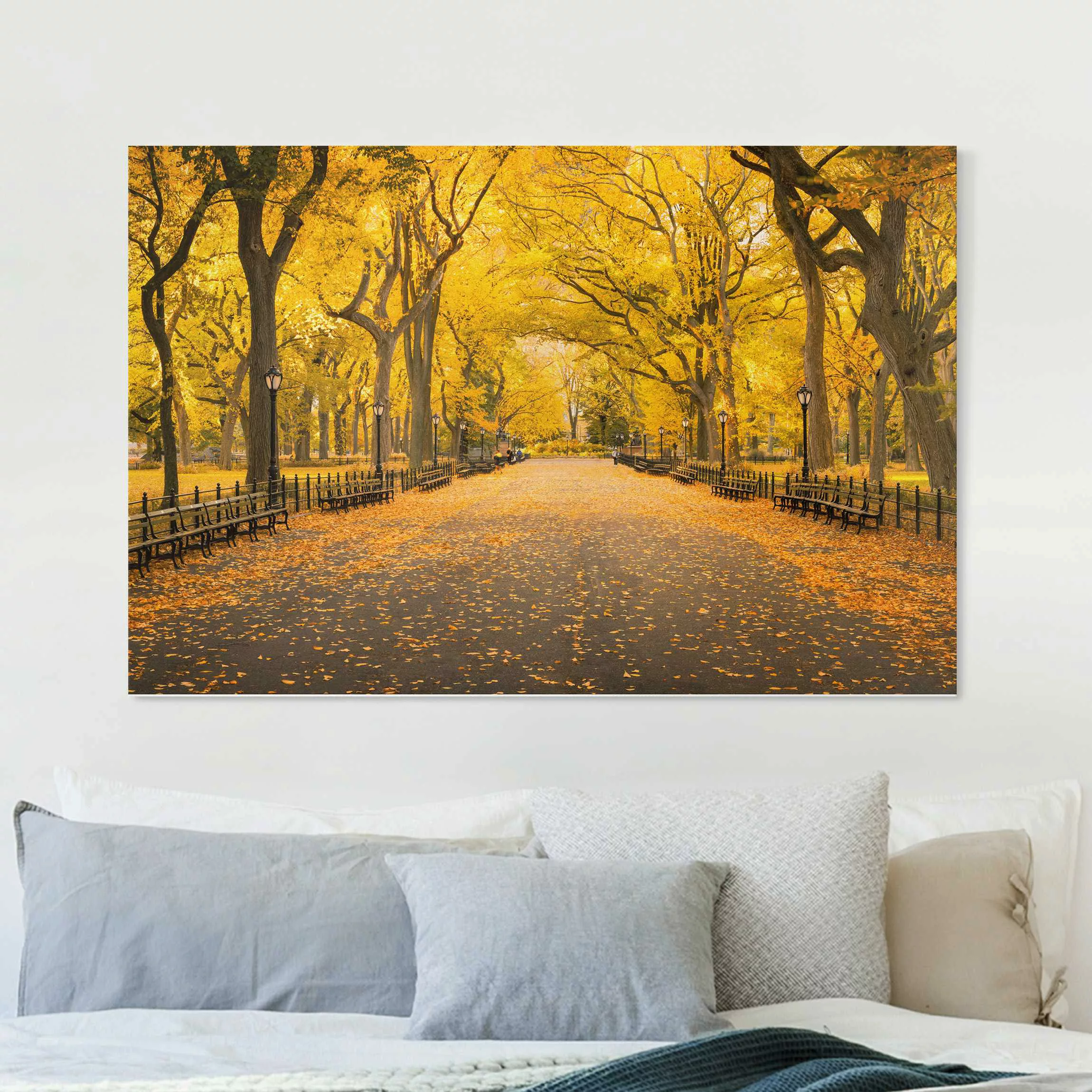Leinwandbild Herbst im Central Park günstig online kaufen