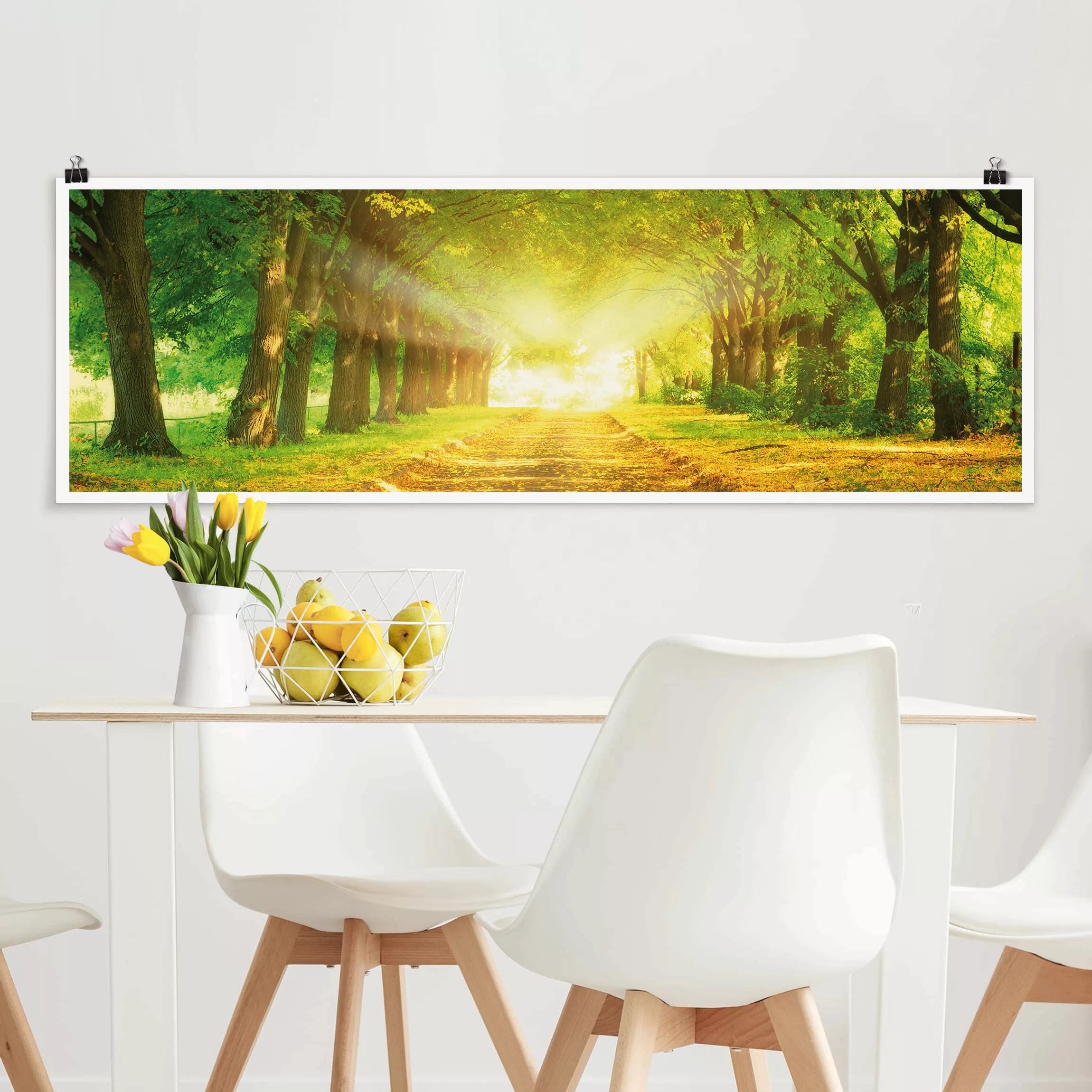 Panorama Poster Wald Autumn Avenue günstig online kaufen
