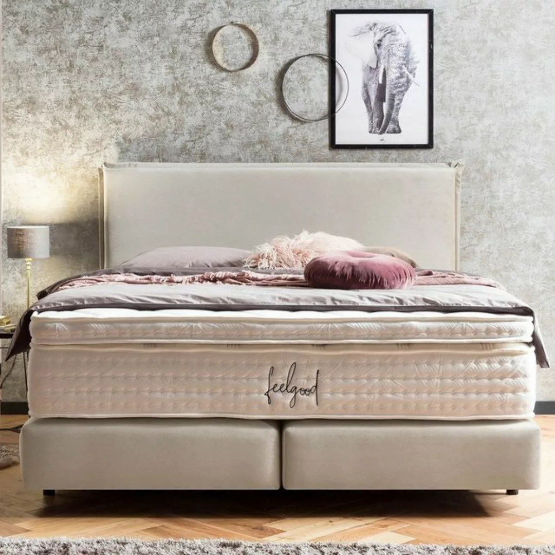 BettCo Boxspringbett London (in Creme Samt, 200 x 200 cm), Kopfteil mit Bie günstig online kaufen